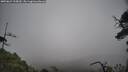 ./images/calvert/fitz-hugh-hecate/20250624/fitz-hugh-hecate20250624_115009M.jpg