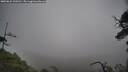 ./images/calvert/fitz-hugh-hecate/20250624/fitz-hugh-hecate20250624_120510M.jpg
