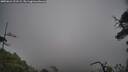 ./images/calvert/fitz-hugh-hecate/20250624/fitz-hugh-hecate20250624_121508M.jpg