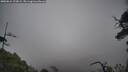 ./images/calvert/fitz-hugh-hecate/20250624/fitz-hugh-hecate20250624_122009M.jpg