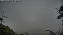 ./images/calvert/fitz-hugh-hecate/20250624/fitz-hugh-hecate20250624_122508M.jpg