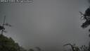 ./images/calvert/fitz-hugh-hecate/20250624/fitz-hugh-hecate20250624_123011M.jpg
