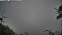 ./images/calvert/fitz-hugh-hecate/20250624/fitz-hugh-hecate20250624_124010M.jpg