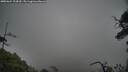 ./images/calvert/fitz-hugh-hecate/20250624/fitz-hugh-hecate20250624_124510M.jpg