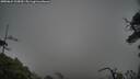 ./images/calvert/fitz-hugh-hecate/20250624/fitz-hugh-hecate20250624_125010M.jpg