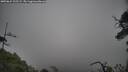 ./images/calvert/fitz-hugh-hecate/20250624/fitz-hugh-hecate20250624_125509M.jpg