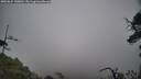 ./images/calvert/fitz-hugh-hecate/20250624/fitz-hugh-hecate20250624_130010M.jpg