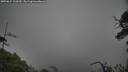 ./images/calvert/fitz-hugh-hecate/20250624/fitz-hugh-hecate20250624_132009M.jpg