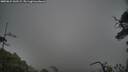 ./images/calvert/fitz-hugh-hecate/20250624/fitz-hugh-hecate20250624_132509M.jpg
