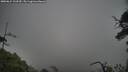 ./images/calvert/fitz-hugh-hecate/20250624/fitz-hugh-hecate20250624_133509M.jpg