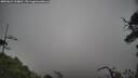 ./images/calvert/fitz-hugh-hecate/20250624/fitz-hugh-hecate20250624_134010M.jpg