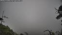 ./images/calvert/fitz-hugh-hecate/20250624/fitz-hugh-hecate20250624_134510M.jpg