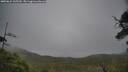 ./images/calvert/fitz-hugh-hecate/20250624/fitz-hugh-hecate20250624_135509M.jpg