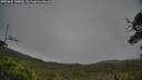 ./images/calvert/fitz-hugh-hecate/20250624/fitz-hugh-hecate20250624_140012M.jpg