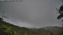 ./images/calvert/fitz-hugh-hecate/20250624/fitz-hugh-hecate20250624_141510M.jpg