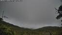 ./images/calvert/fitz-hugh-hecate/20250624/fitz-hugh-hecate20250624_142010M.jpg