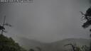 ./images/calvert/fitz-hugh-hecate/20250624/fitz-hugh-hecate20250624_142509M.jpg