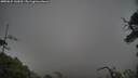 ./images/calvert/fitz-hugh-hecate/20250624/fitz-hugh-hecate20250624_143011M.jpg