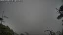 ./images/calvert/fitz-hugh-hecate/20250624/fitz-hugh-hecate20250624_143509M.jpg