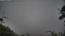 ./images/calvert/fitz-hugh-hecate/20250624/fitz-hugh-hecate20250624_144510M.jpg
