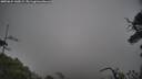 ./images/calvert/fitz-hugh-hecate/20250624/fitz-hugh-hecate20250624_145009M.jpg