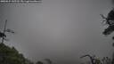 ./images/calvert/fitz-hugh-hecate/20250624/fitz-hugh-hecate20250624_145510M.jpg