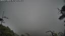 ./images/calvert/fitz-hugh-hecate/20250624/fitz-hugh-hecate20250624_150011M.jpg