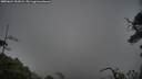 ./images/calvert/fitz-hugh-hecate/20250624/fitz-hugh-hecate20250624_151009M.jpg