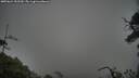 ./images/calvert/fitz-hugh-hecate/20250624/fitz-hugh-hecate20250624_152510M.jpg