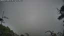 ./images/calvert/fitz-hugh-hecate/20250624/fitz-hugh-hecate20250624_153509M.jpg
