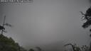 ./images/calvert/fitz-hugh-hecate/20250624/fitz-hugh-hecate20250624_154009M.jpg