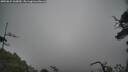 ./images/calvert/fitz-hugh-hecate/20250624/fitz-hugh-hecate20250624_160010M.jpg