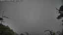./images/calvert/fitz-hugh-hecate/20250624/fitz-hugh-hecate20250624_161010M.jpg