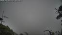 ./images/calvert/fitz-hugh-hecate/20250624/fitz-hugh-hecate20250624_161510M.jpg