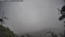 ./images/calvert/fitz-hugh-hecate/20250624/fitz-hugh-hecate20250624_164010M.jpg