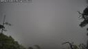 ./images/calvert/fitz-hugh-hecate/20250624/fitz-hugh-hecate20250624_165009M.jpg