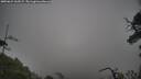 ./images/calvert/fitz-hugh-hecate/20250624/fitz-hugh-hecate20250624_165509M.jpg