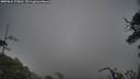./images/calvert/fitz-hugh-hecate/20250624/fitz-hugh-hecate20250624_170010M.jpg