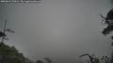 ./images/calvert/fitz-hugh-hecate/20250624/fitz-hugh-hecate20250624_171008M.jpg