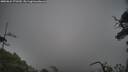 ./images/calvert/fitz-hugh-hecate/20250624/fitz-hugh-hecate20250624_171509M.jpg