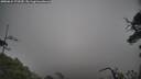 ./images/calvert/fitz-hugh-hecate/20250624/fitz-hugh-hecate20250624_172510M.jpg
