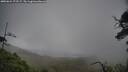 ./images/calvert/fitz-hugh-hecate/20250624/fitz-hugh-hecate20250624_173506M.jpg