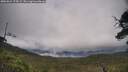 ./images/calvert/fitz-hugh-hecate/20250624/fitz-hugh-hecate20250624_174509M.jpg