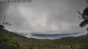 ./images/calvert/fitz-hugh-hecate/20250624/fitz-hugh-hecate20250624_175509M.jpg