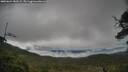 ./images/calvert/fitz-hugh-hecate/20250624/fitz-hugh-hecate20250624_180509M.jpg