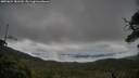 ./images/calvert/fitz-hugh-hecate/20250624/fitz-hugh-hecate20250624_181510M.jpg