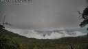 ./images/calvert/fitz-hugh-hecate/20250624/fitz-hugh-hecate20250624_182510M.jpg