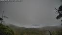 ./images/calvert/fitz-hugh-hecate/20250624/fitz-hugh-hecate20250624_183509M.jpg