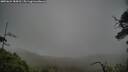 ./images/calvert/fitz-hugh-hecate/20250624/fitz-hugh-hecate20250624_184510M.jpg
