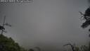 ./images/calvert/fitz-hugh-hecate/20250624/fitz-hugh-hecate20250624_185010M.jpg